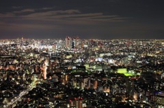 東京夜景2010