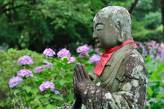 素敵な紫陽花が咲きますように