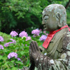 素敵な紫陽花が咲きますように