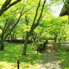裏庭、ＧＲＥＥＮ