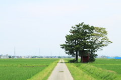 農道にて