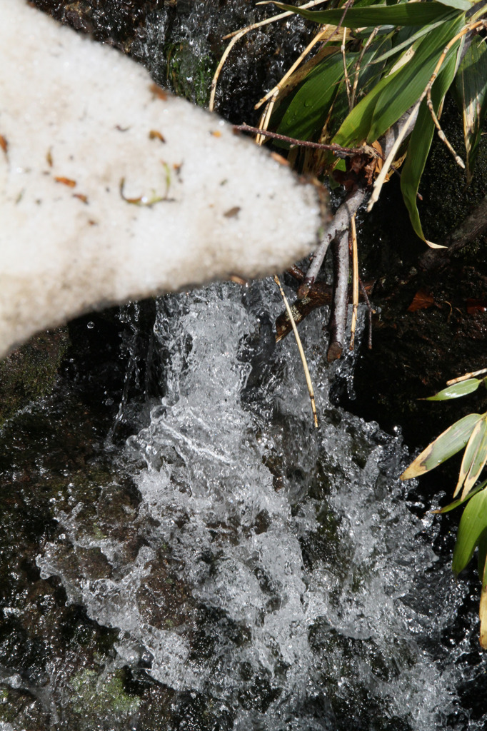 雪解け水