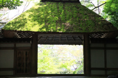 苔、門、光