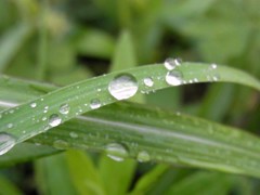 水滴