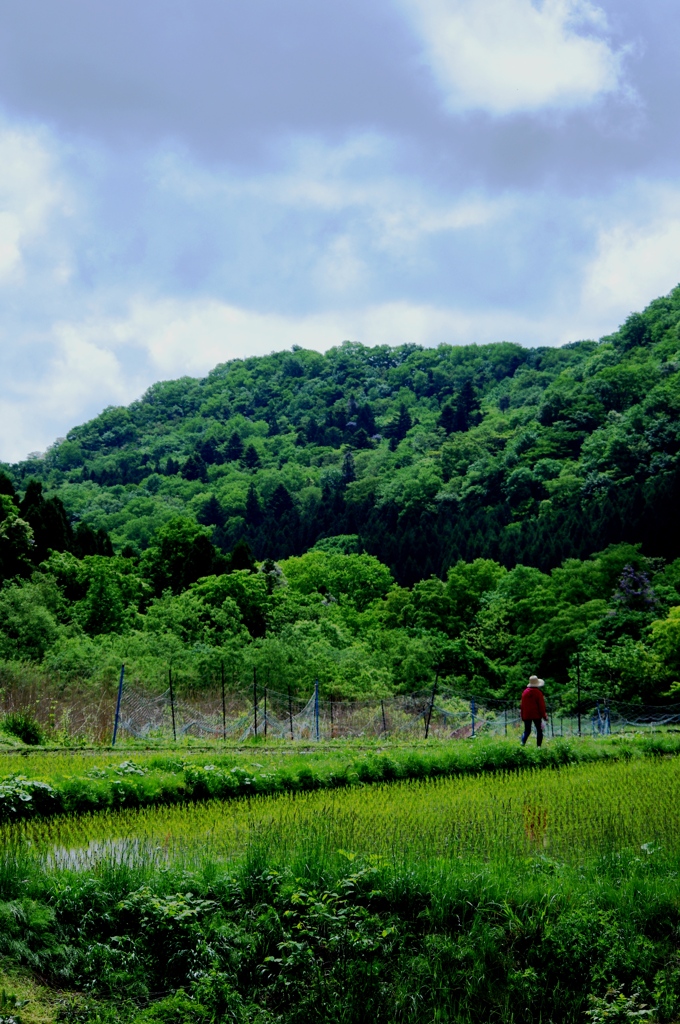 トトロの風景・作並