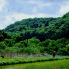 トトロの風景・作並