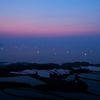 夏　夕景