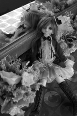 IMGP1094