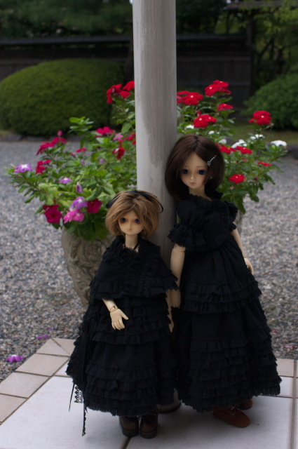 IMGP7655