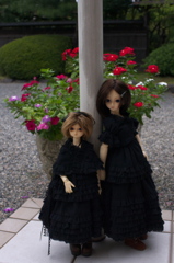 IMGP7655