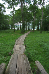 IMGP0877