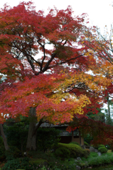 IMGP8285