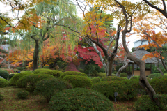 IMGP8264
