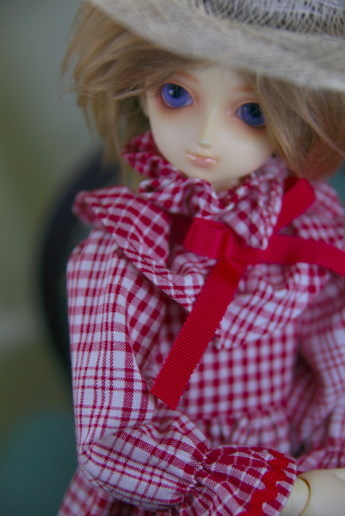 IMGP6181