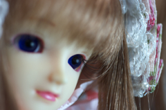 IMGP6344