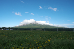 IMGP0921