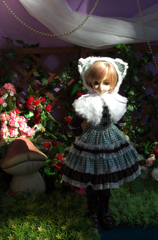 IMGP0679