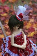 IMGP8292