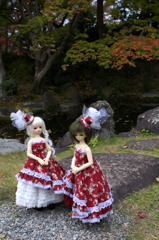 IMGP8275