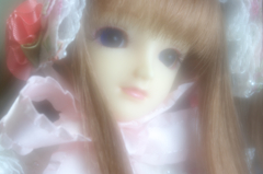 IMGP6351