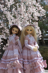 IMGP4063