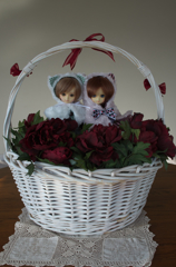 IMGP0776