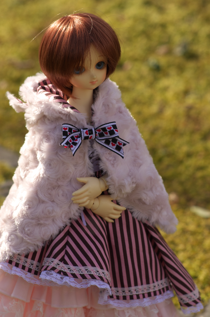 IMGP0706