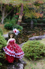 IMGP8258