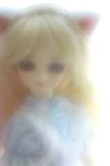 IMGP0514