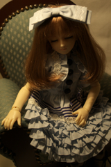 IMGP6535