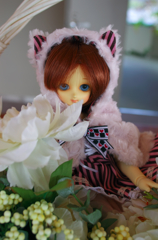 IMGP0757