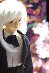 葵