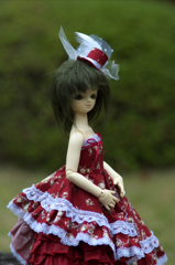 IMGP8288