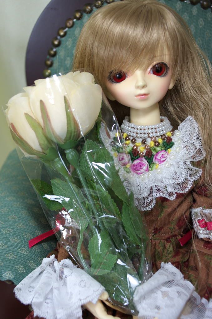 IMGP6253