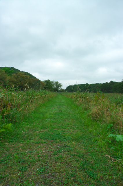 IMGP1039