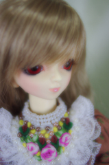 IMGP6270