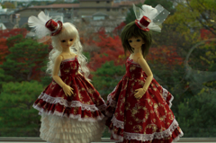 IMGP8339