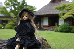 IMGP7733