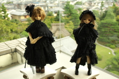 IMGP7711