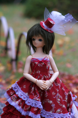 IMGP8291