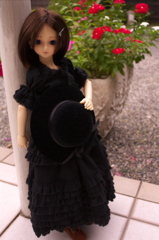 IMGP7654
