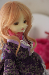 IMGP0642