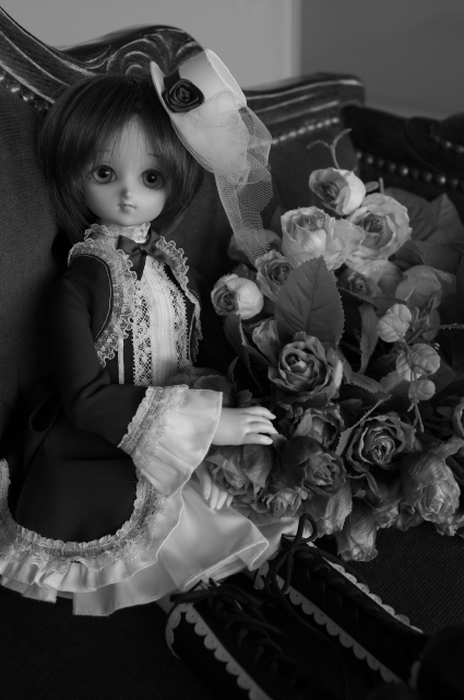 IMGP1090