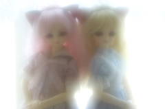 IMGP0512