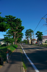 IMGP0905
