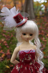 IMGP8271