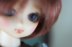 IMGP6307