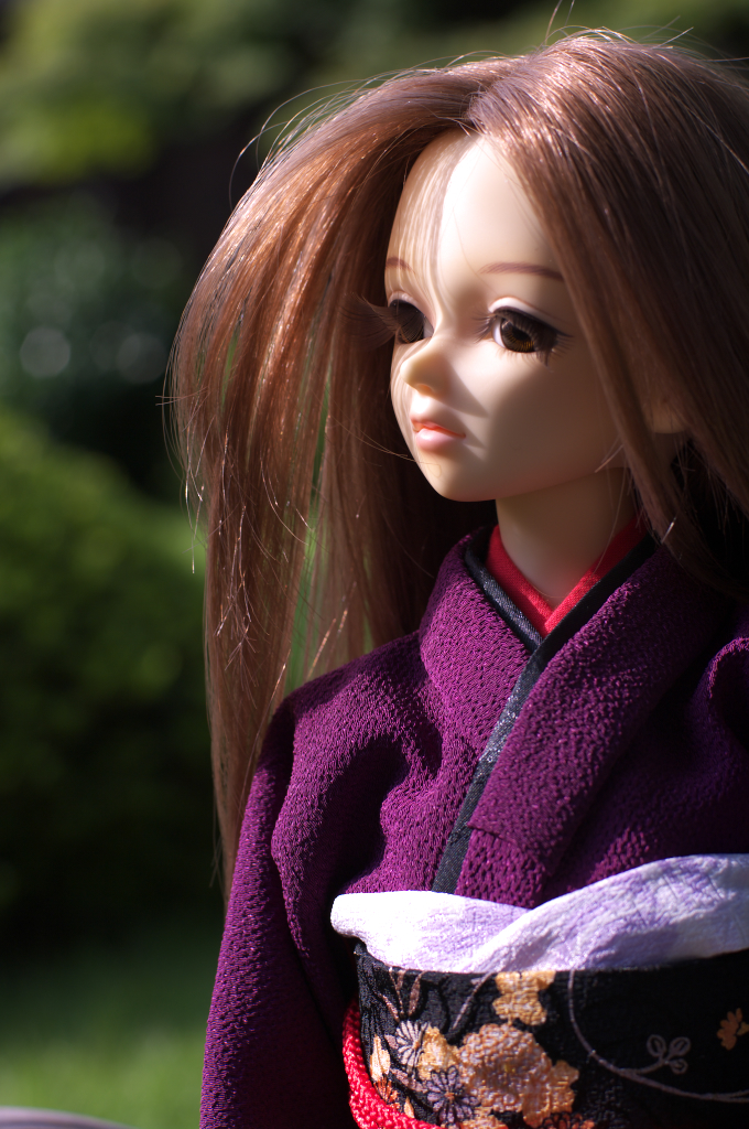 IMGP5908