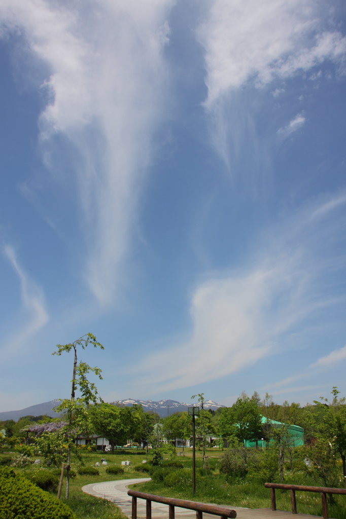 本当の空