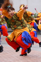 ヨサコイ　とわだ．馬花道